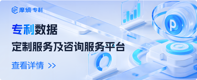 专利数据服务
