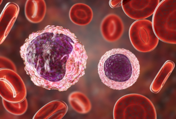 2024年ESMO胃肠癌大会ESMO Gastrointestinal Cancers