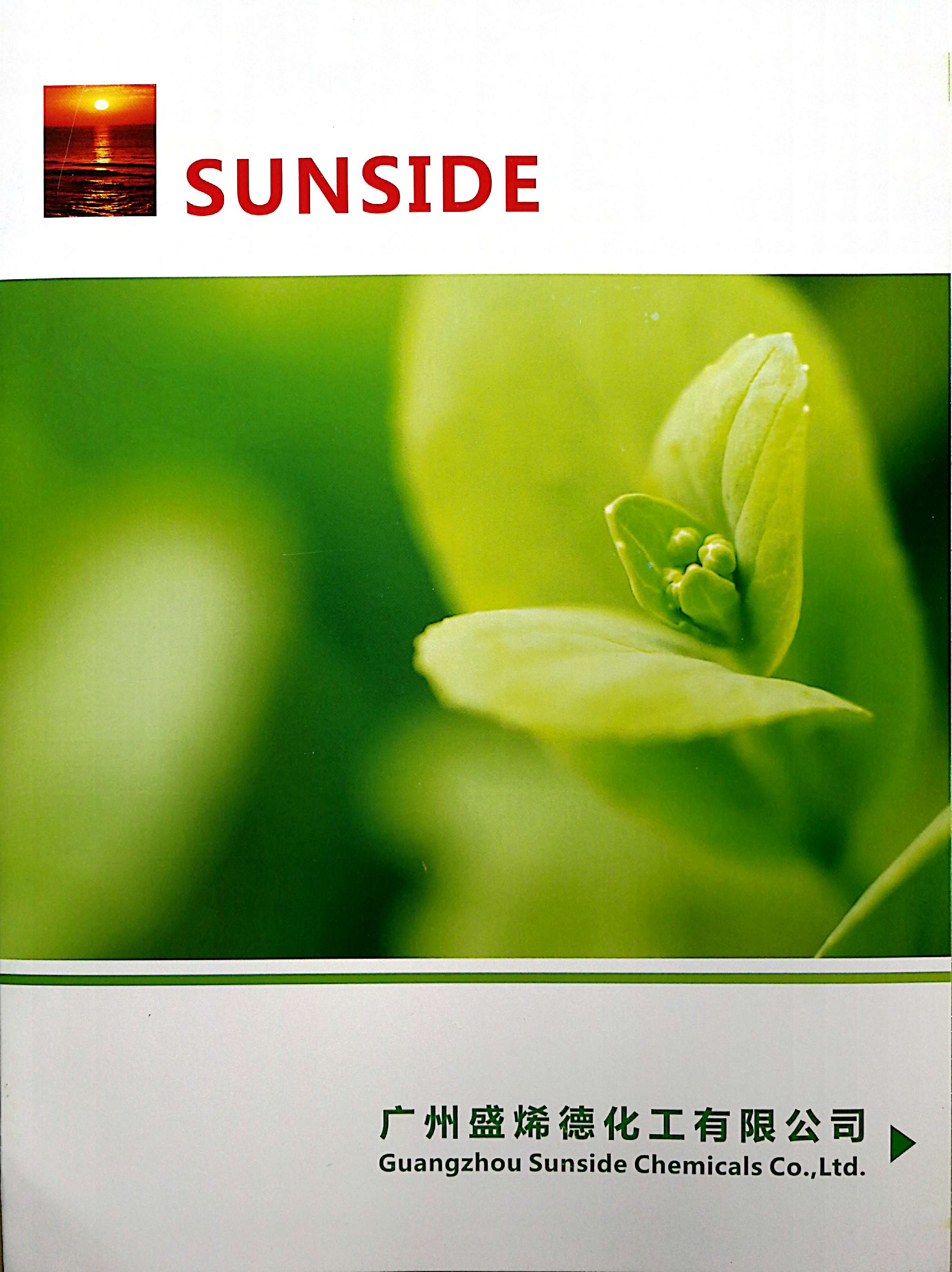 广州盛烯德化工有限公司