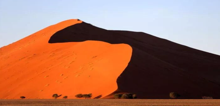 中国医药5年走完日本30年！
