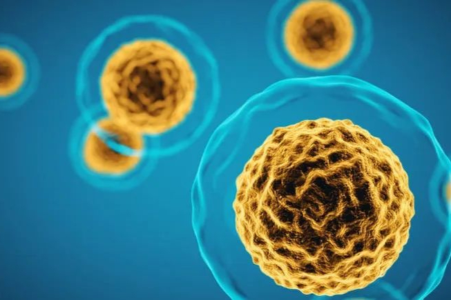 BioMarin：A型血友病基因疗法1名受试者出现血癌！