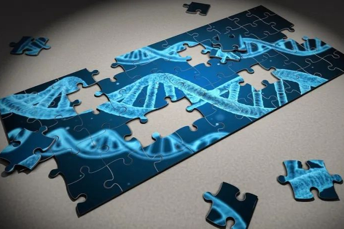 金斯瑞蓬勃生物mRNA平台即将发布，详谈mRNA产品CMC及控制策略