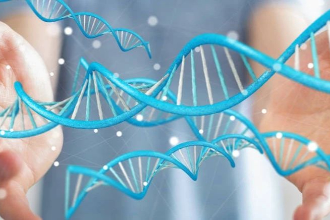 Editas：主动暂停关于CRISPR基因编辑药物的临床试验