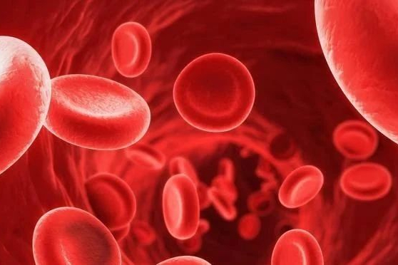 FDA更新A型血友病基因疗法上市审查进度，BioMarin股价上涨！