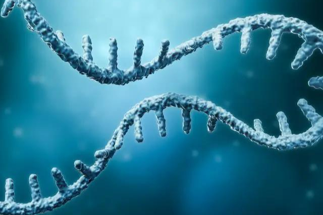 大涨15%，首款CRISPR基因编辑疗法即将上市！