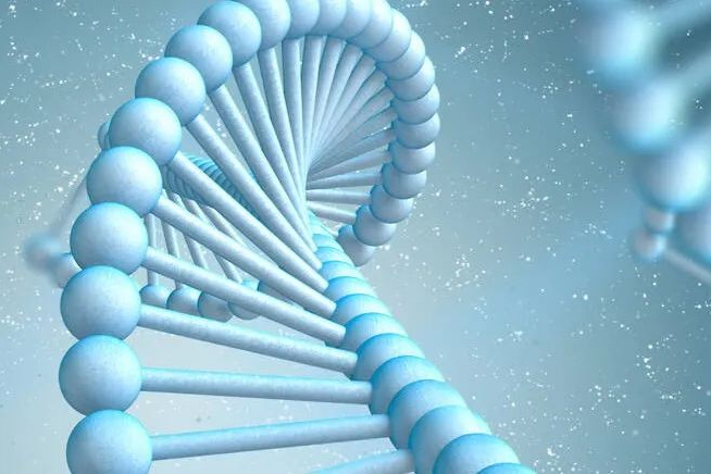基因编辑龙头裁员15%！其体内CRISPR基因编辑疗法已开展Ⅲ期临床