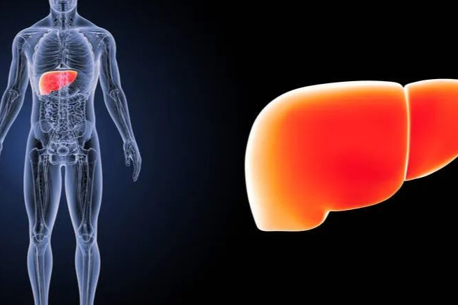丙型肝炎最新治疗药物丨沉默的传染病，一文了解丙型病毒性肝炎！