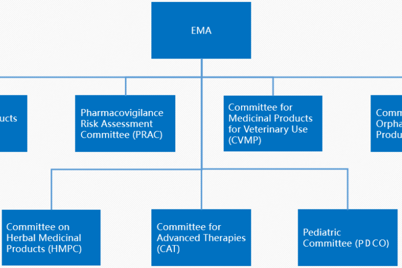 欧洲药品管理局：EMA、HMA、EDQM-<药监局机构·学习往事>