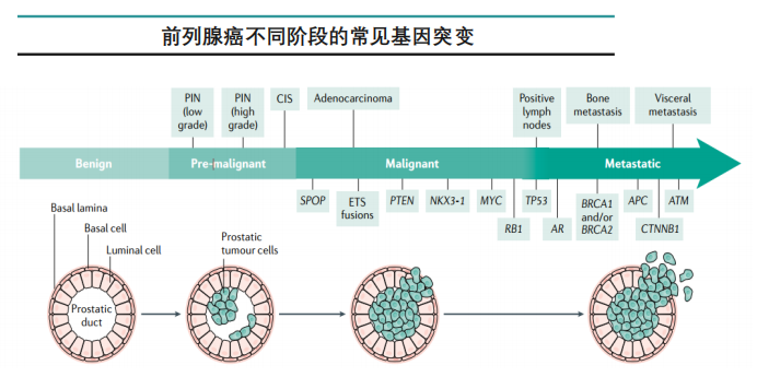 前列腺癌治疗领域发展潜力大AR抑制剂占市场大头 药融云