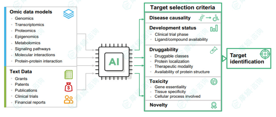 AI技术驱动药物靶点发现与验证工作流程