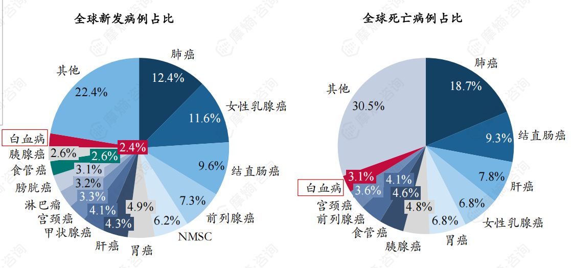 白血病流行病学数据