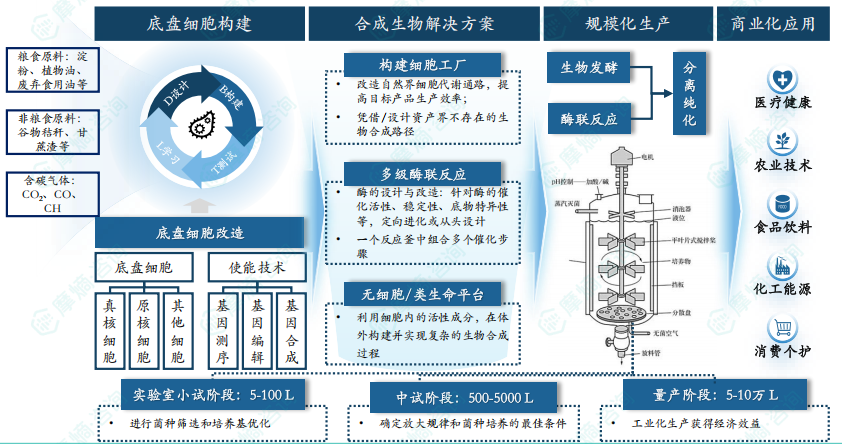 合成生物制造工艺流程