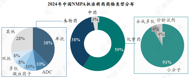 2024年中国NMPA批准新药药物类型分布