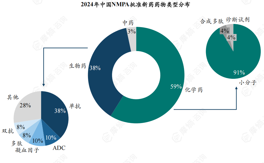 2024年中国NMPA批准新药药物类型分布