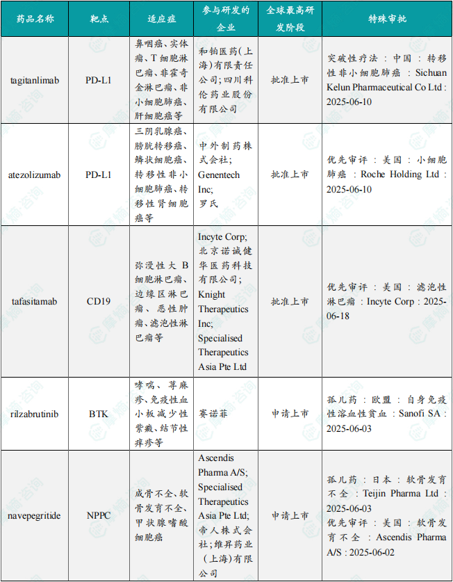 2025年6月国内获批临床新药一览表（部分）