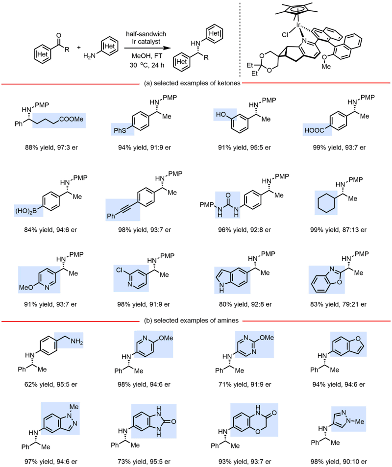 Angew. Chem. ：手性吡啶赋能零添加、广兼容的转移氢化不对称还原胺化