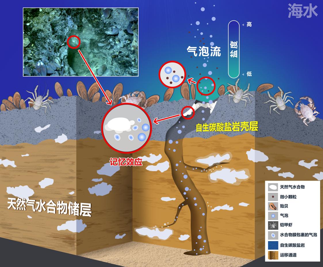 深海冷泉水合物快速形成动力学机制获揭示
