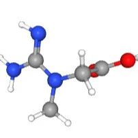 探索健身增肌的关键分子——肌酸（Creatine）！