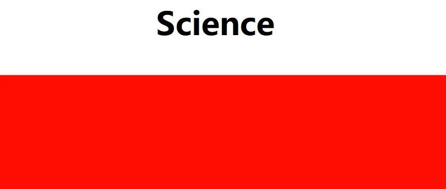 黑洞如何吞噬磁场？武大最新Science成果告诉你！
