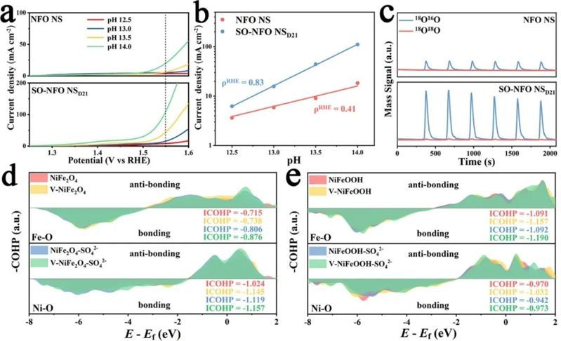 ACS Energy Letters：活化尖晶石氧化物中的晶格氧实现高效析氧