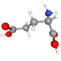 被诋毁的调味剂分子——谷氨酸钠！