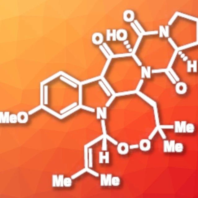 13-Oxoverruculogen 的化学酶法合成！